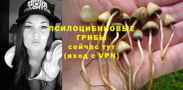 первитин Дмитровск
