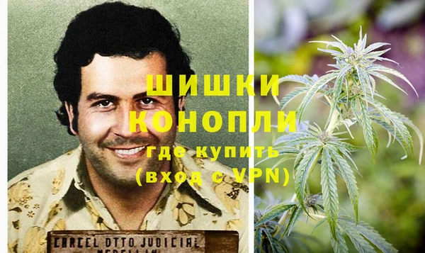 трава Дмитриев