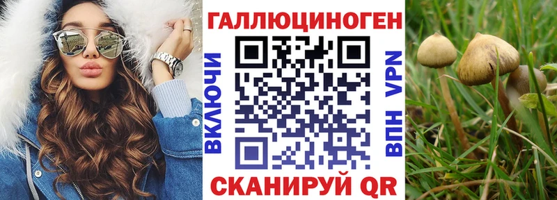 Купить где  Свирск  Псилоцибиновые грибы GOLDEN TEACHER 